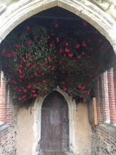 Poppies for Armistice Day 2018