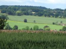 Local fields 1