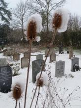 Churchyard in winter